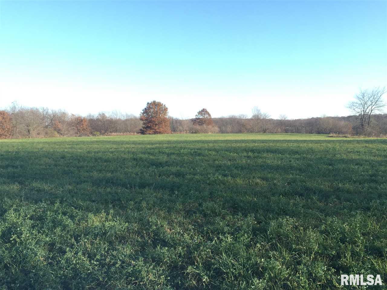 17555 North Middle Grove Road Farmington, IL 61531 - Photo 14 of 32