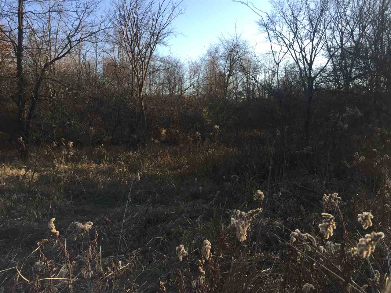 17555 North Middle Grove Road Farmington, IL 61531 - Photo 18 of 32