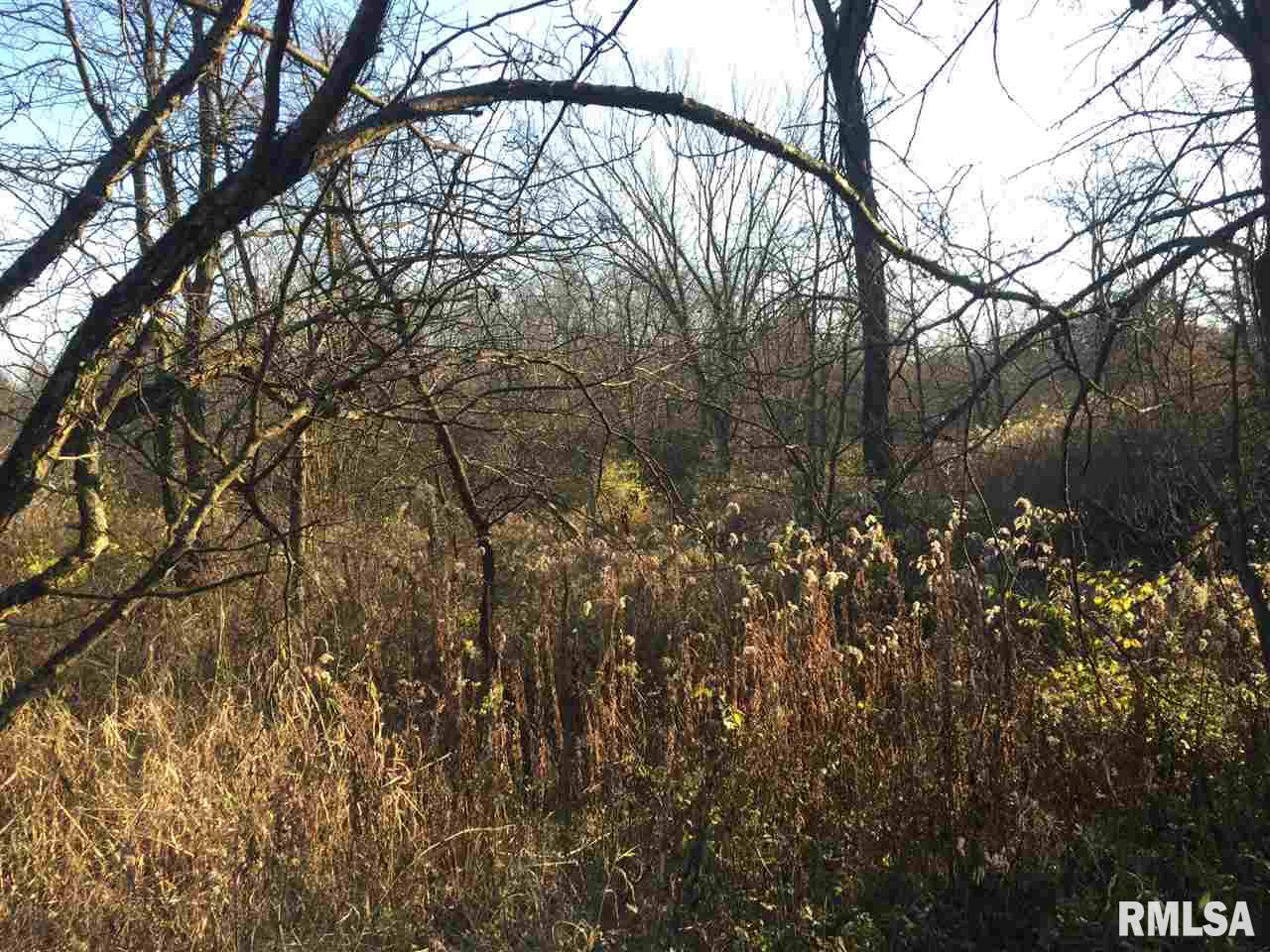 17555 North Middle Grove Road Farmington, IL 61531 - Photo 19 of 32