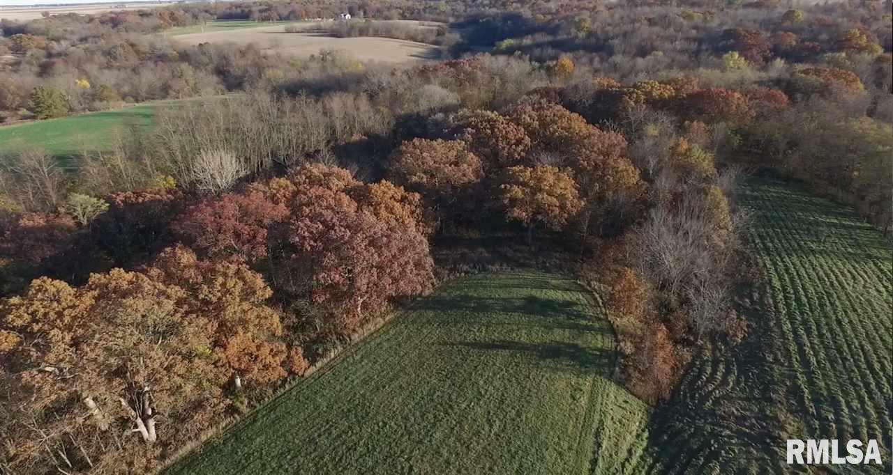 17555 North Middle Grove Road Farmington, IL 61531 - Photo 21 of 32