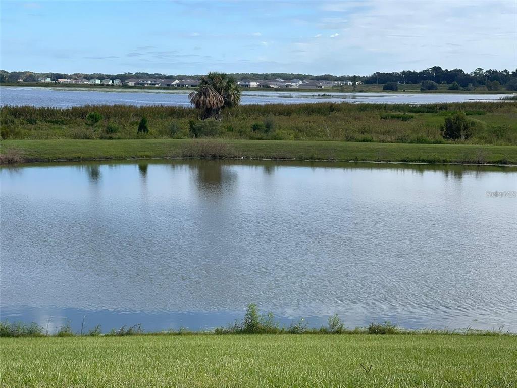 31783 Sun Kettle Loop Wesley Chapel, FL 33545 - Photo 12 of 20 a view of a lake with houses in the background