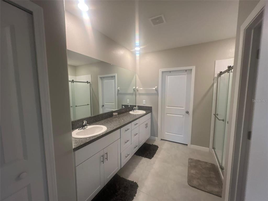 31783 Sun Kettle Loop Wesley Chapel, FL 33545 - Photo 7 of 20 a spacious bathroom with a granite countertop sink a toilet a mirror and shower