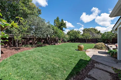 a view of a backyard with plants and a slide