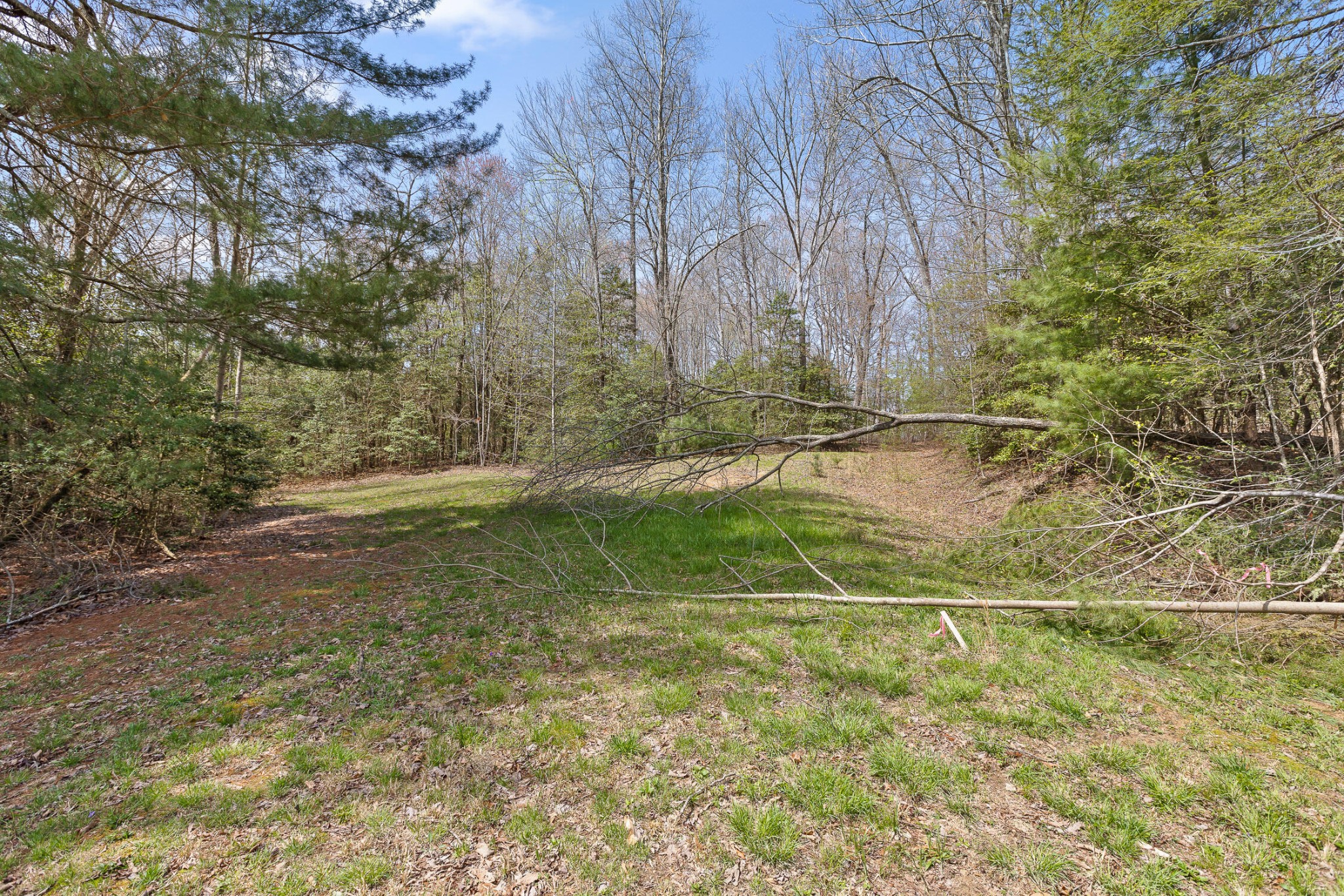 1765 Blaine Smith Road Graysville, TN 37338 - Photo 19 of 60 a view of a yard