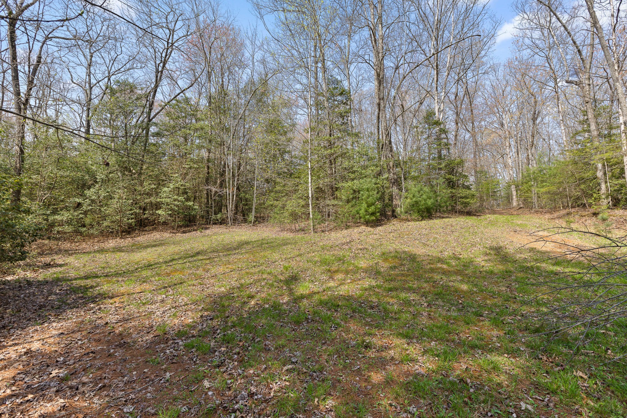1765 Blaine Smith Road Graysville, TN 37338 - Photo 20 of 60 a view of a yard with large trees