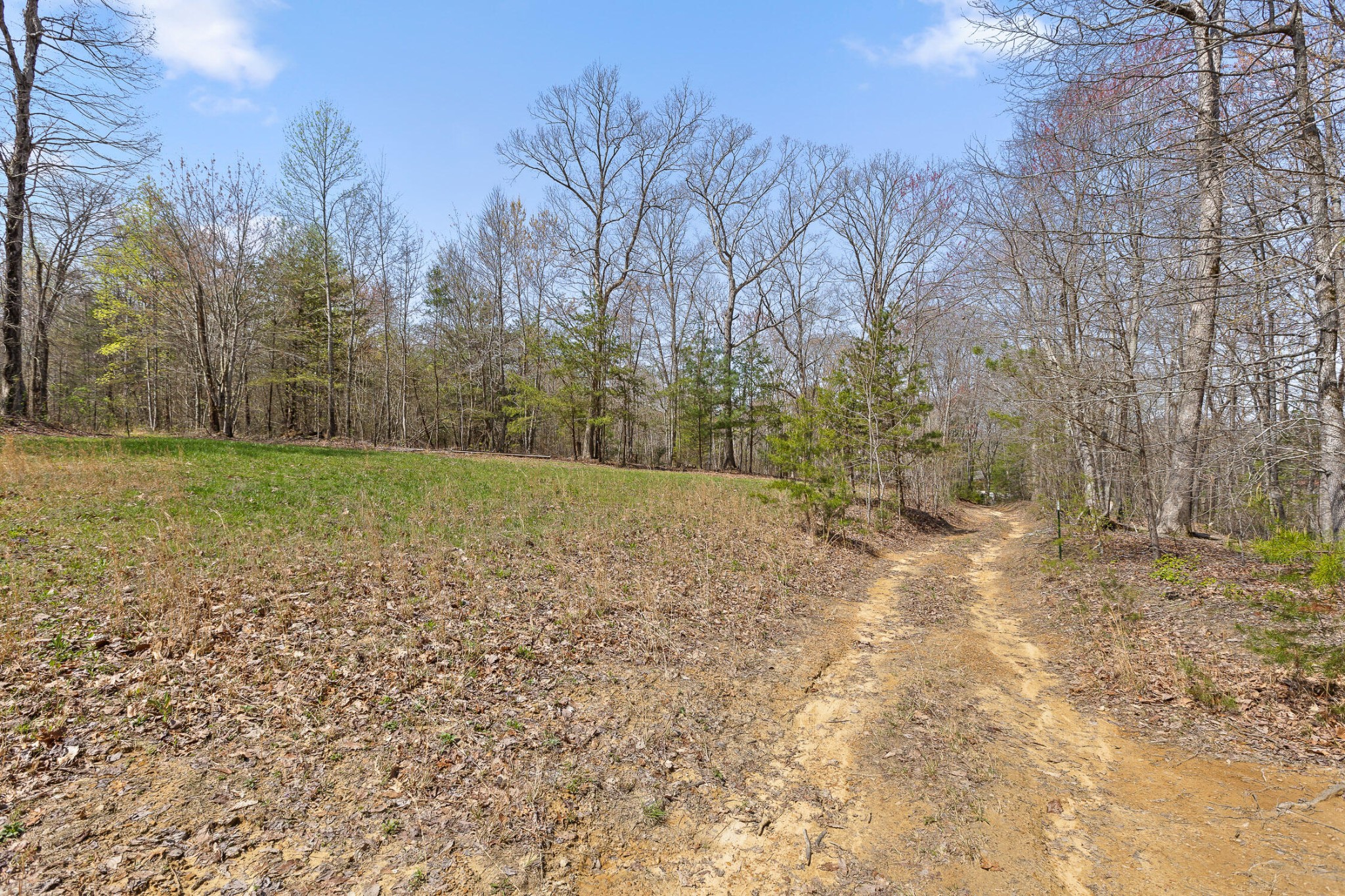 1765 Blaine Smith Road Graysville, TN 37338 - Photo 24 of 60 a view of outdoor space with trees
