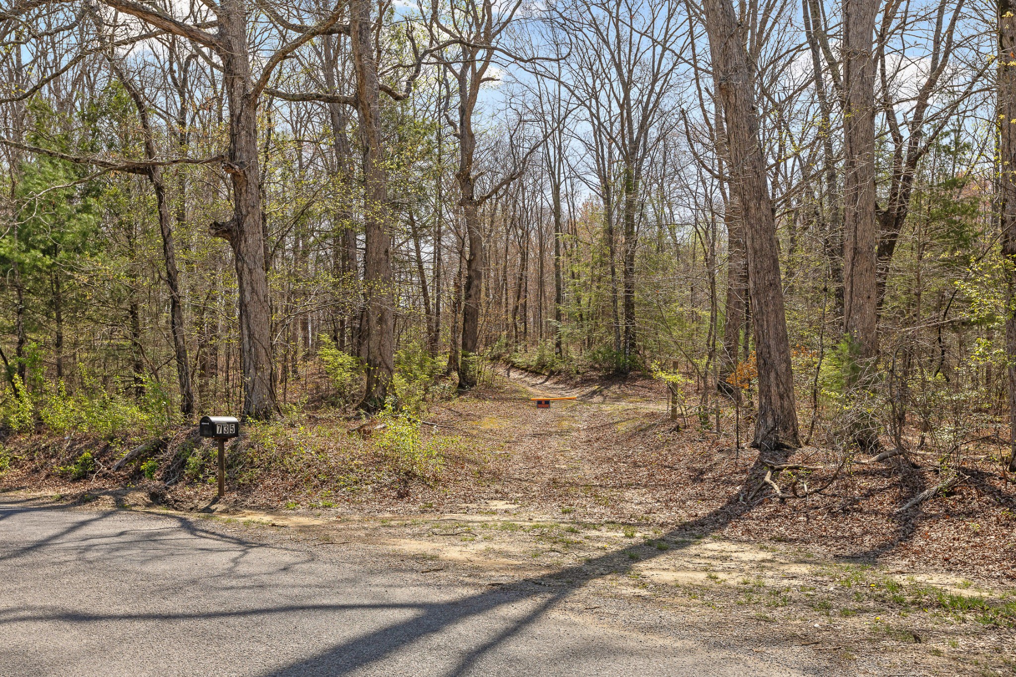 1765 Blaine Smith Road Graysville, TN 37338 - Photo 25 of 60 a view of a backyard with trees