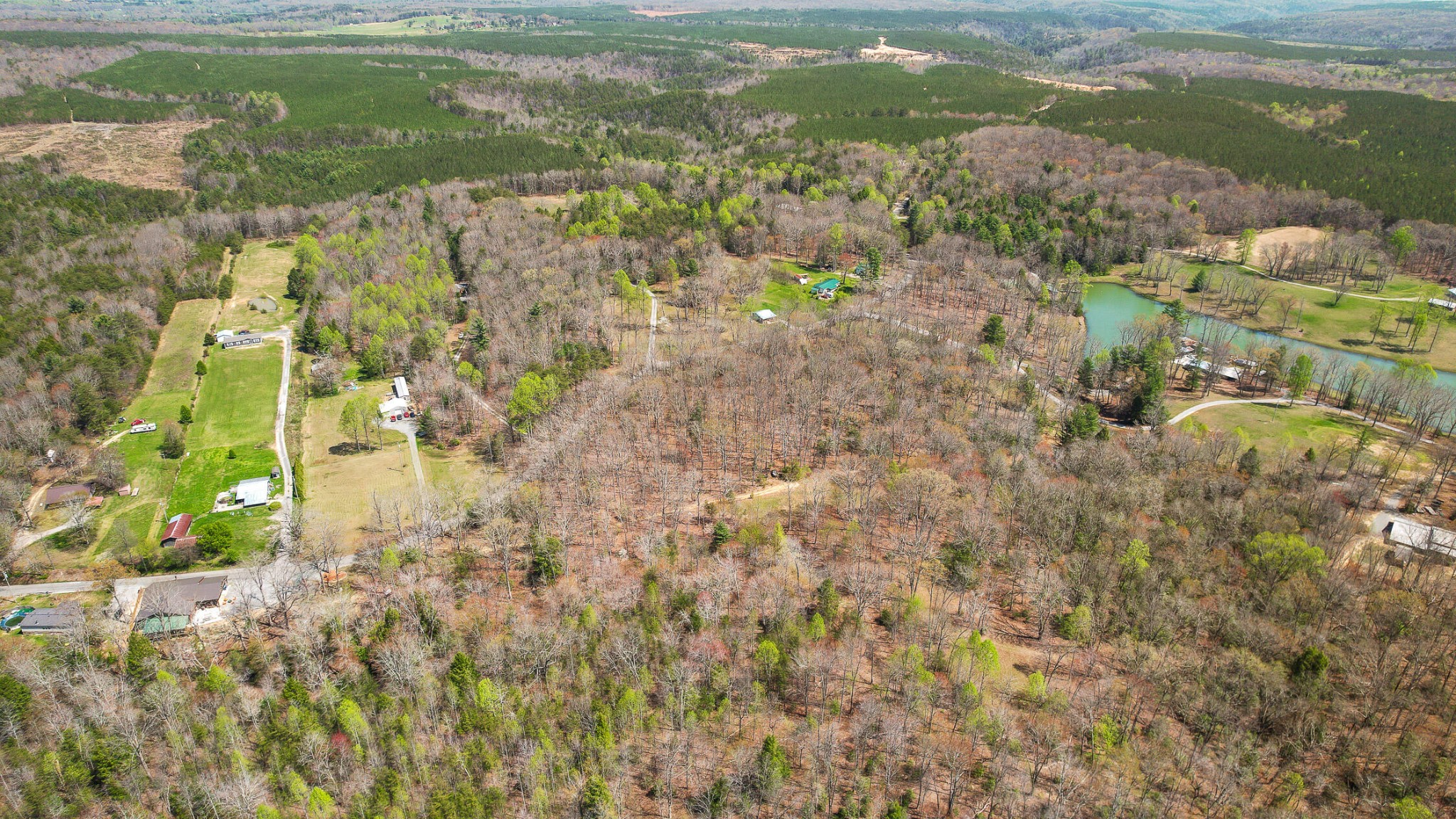 1765 Blaine Smith Road Graysville, TN 37338 - Photo 35 of 60