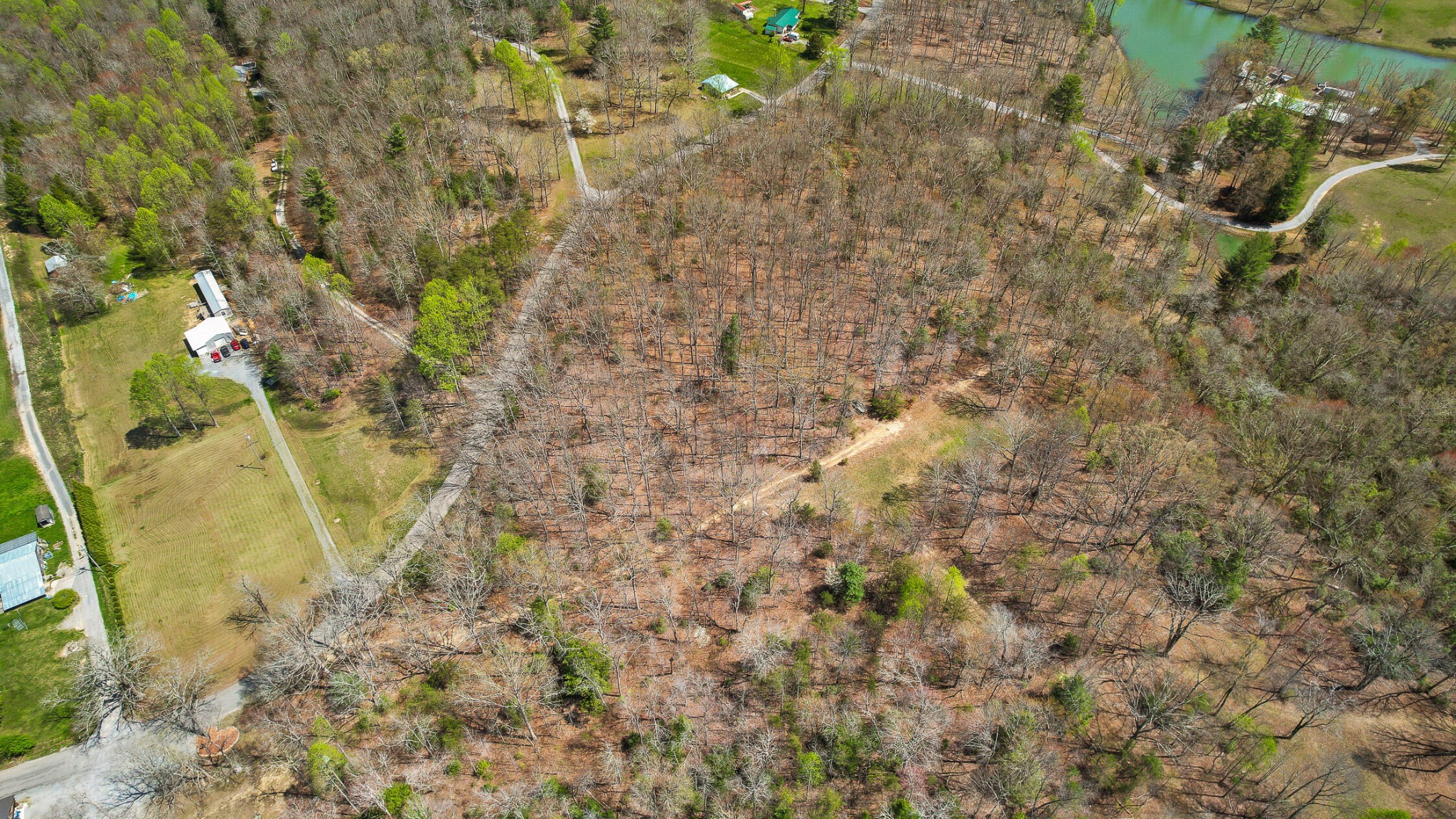 1765 Blaine Smith Road Graysville, TN 37338 - Photo 37 of 60