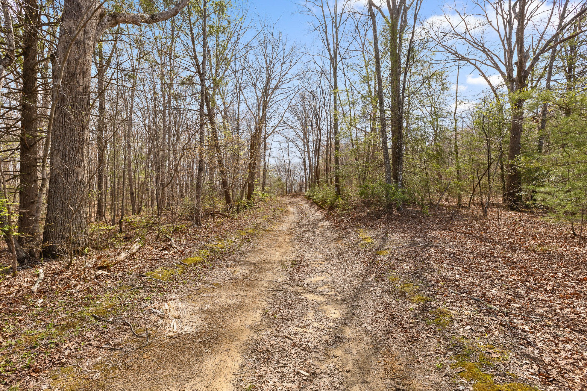 1765 Blaine Smith Road Graysville, TN 37338 - Photo 5 of 60 a backyard of a house with lots of green space
