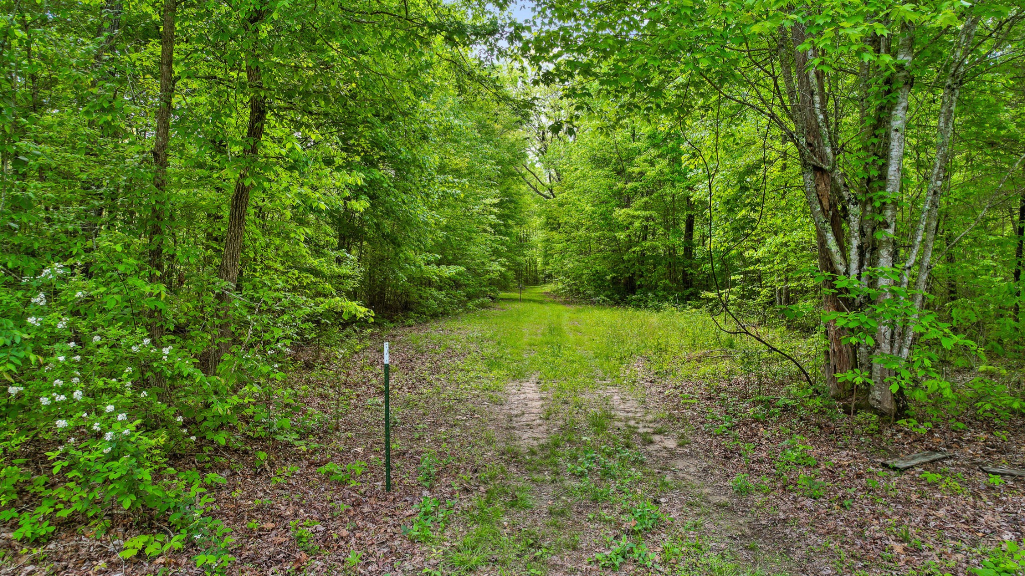 1765 Blaine Smith Road Graysville, TN 37338 - Photo 54 of 60