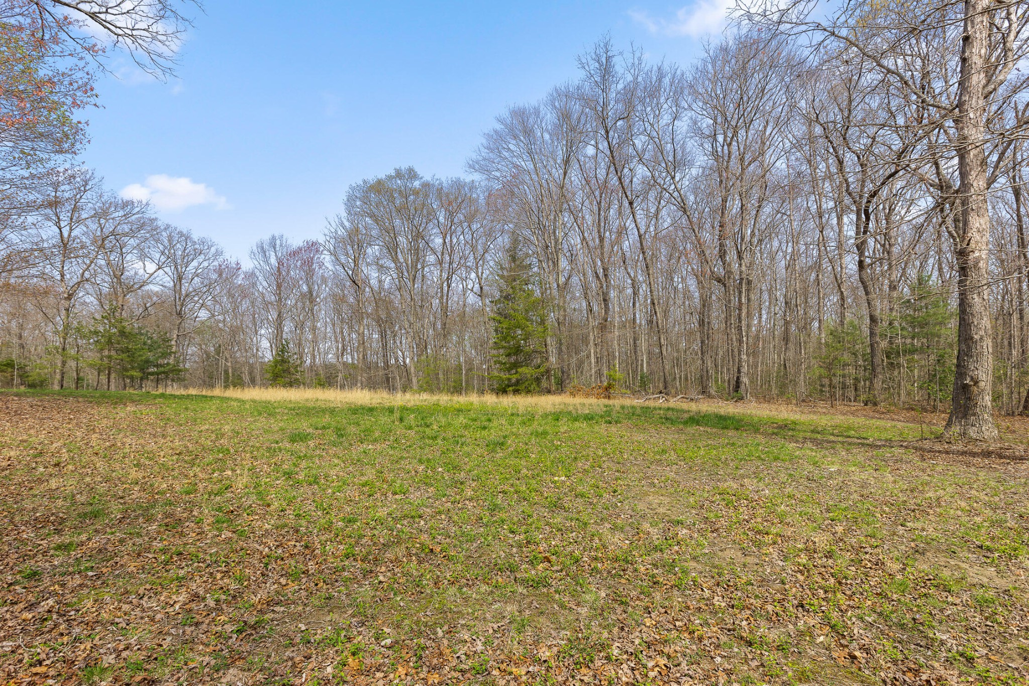 1765 Blaine Smith Road Graysville, TN 37338 - Photo 8 of 60