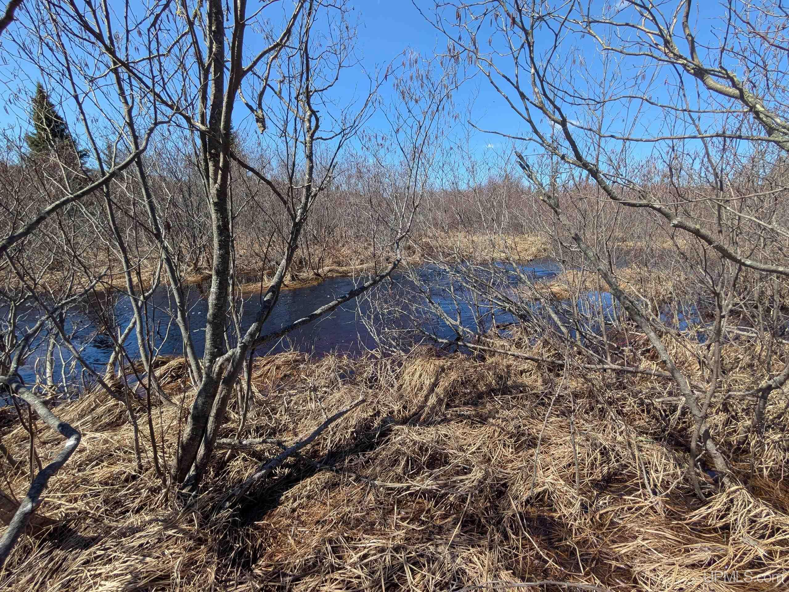 8-acres East Cable Lake Road Crystal Falls, MI 49920 - Photo 12 of 20