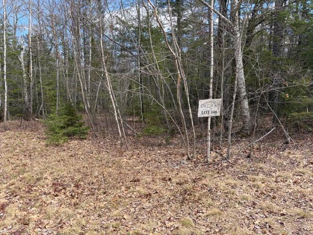 Lot # White Tail Road Ellsworth, ME 04605 - Photo 8 of 10 IMG_6818