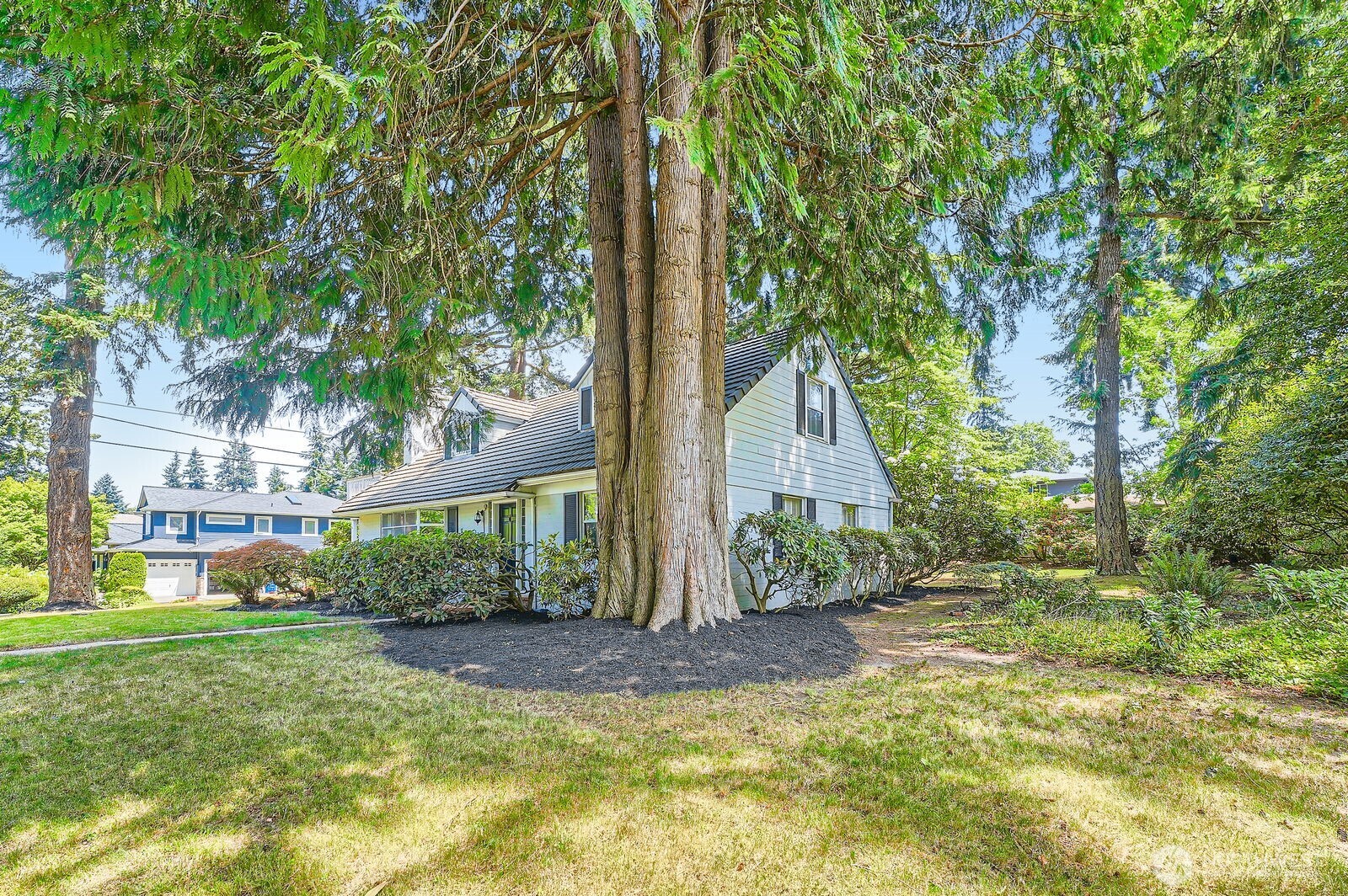 3706 84th Avenue Southeast Mercer Island, WA 98040 - Photo 31 of 38 a view of house with yard and green space