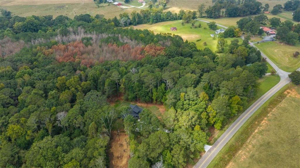 1810 Sandy Flat Road Bowdon, GA 30108 - Photo 38 of 48 Gallery Image 38