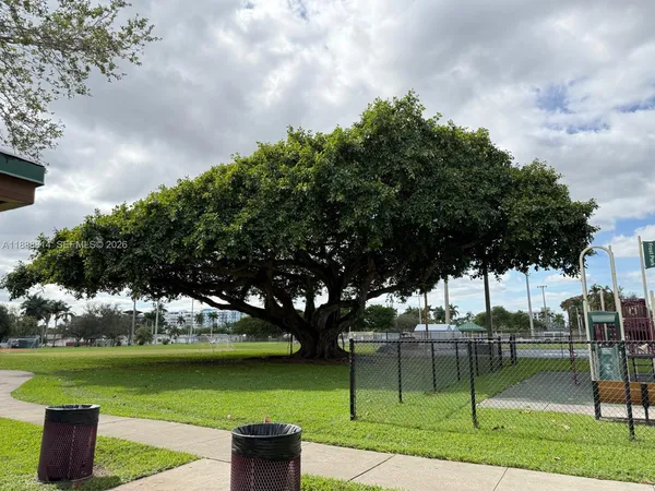 a view of a park with large trees