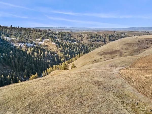 $295,000 | Tbd Old Culdesac Road, Culdesac, ID 83524