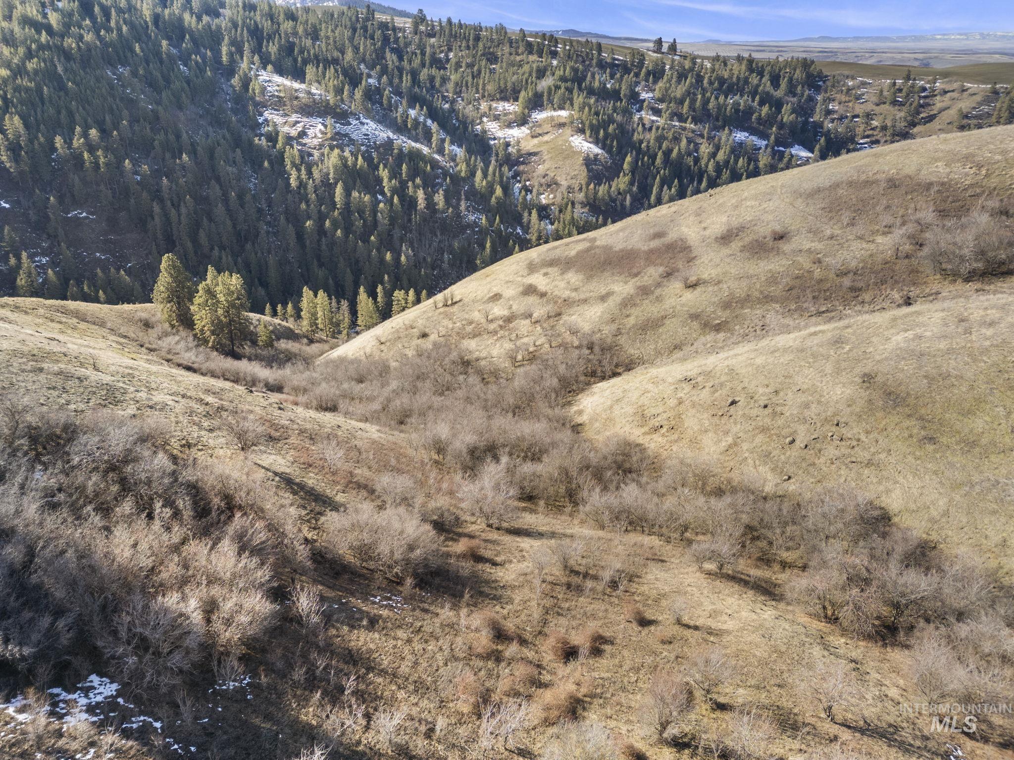 Tbd Old Culdesac Road Culdesac, ID 83524 - Photo 14 of 41
