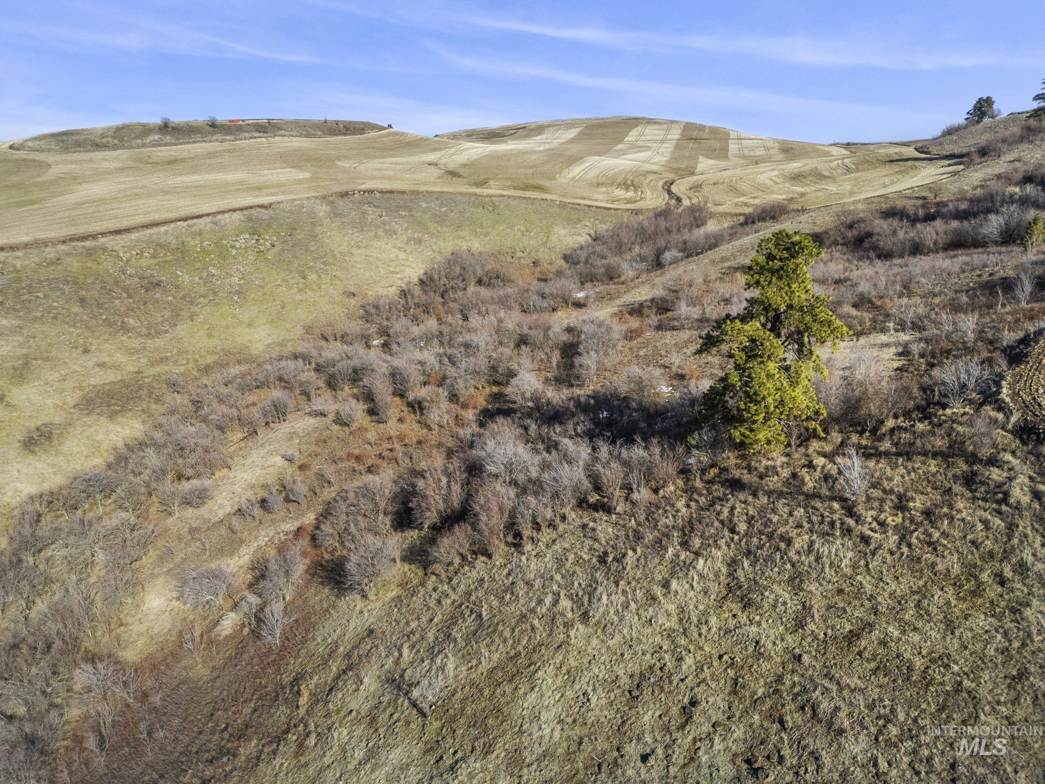 Tbd Old Culdesac Road Culdesac, ID 83524 - Photo 15 of 41