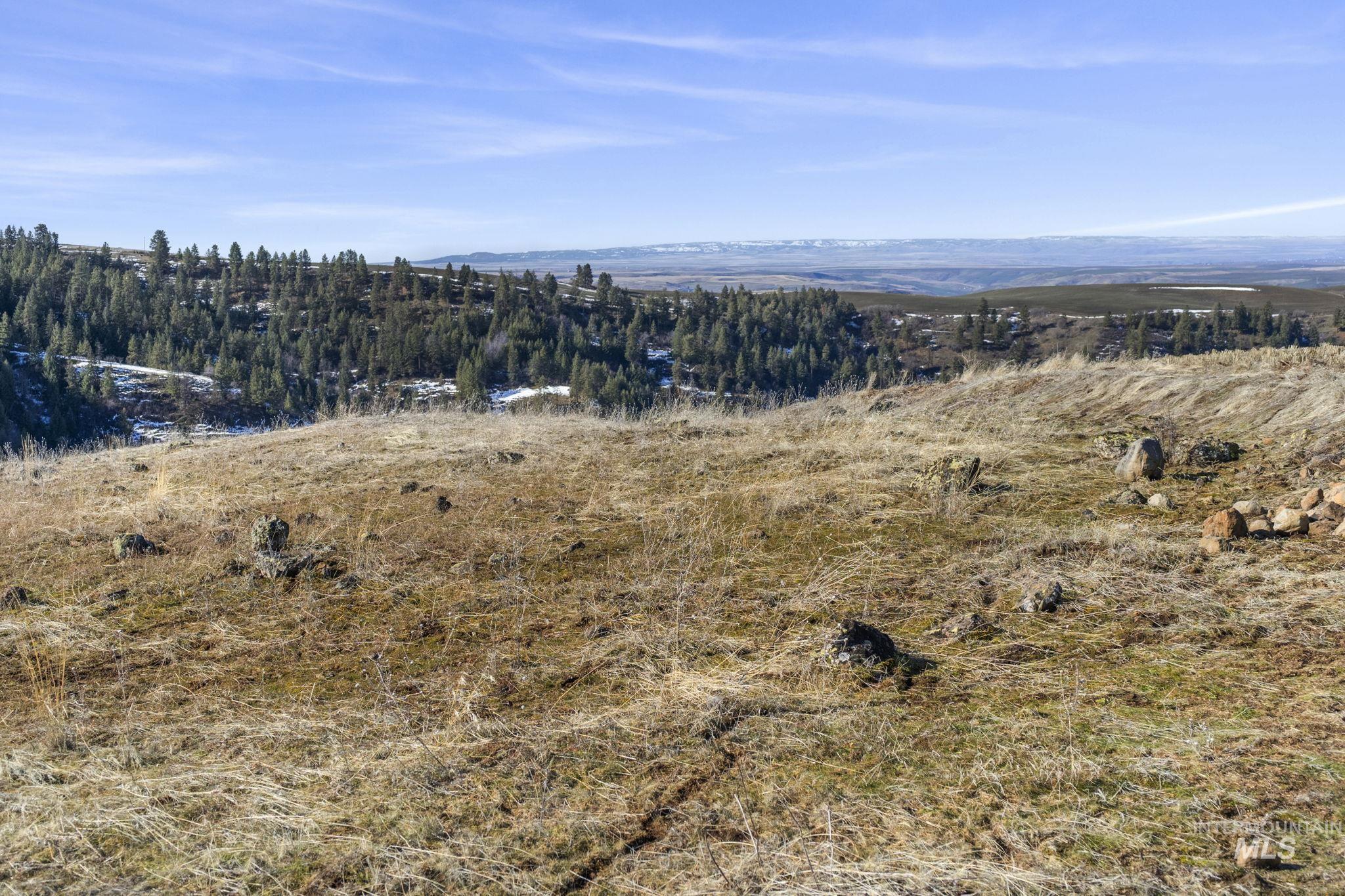 Tbd Old Culdesac Road Culdesac, ID 83524 - Photo 20 of 41