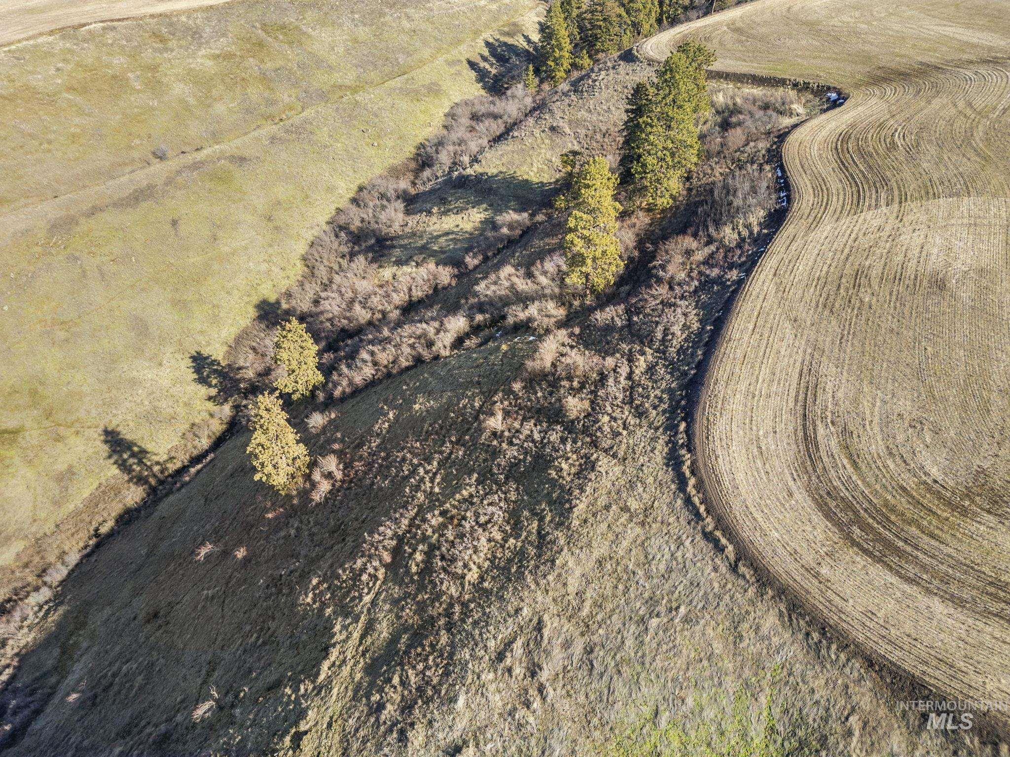 Tbd Old Culdesac Road Culdesac, ID 83524 - Photo 2 of 41