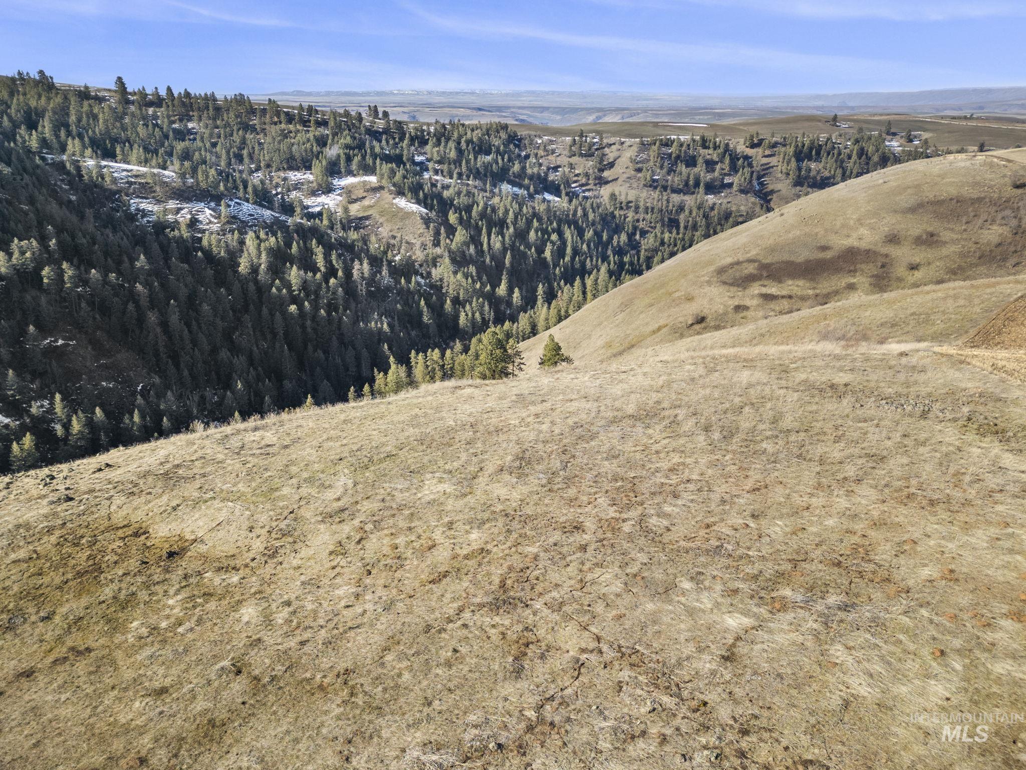Tbd Old Culdesac Road Culdesac, ID 83524 - Photo 22 of 41