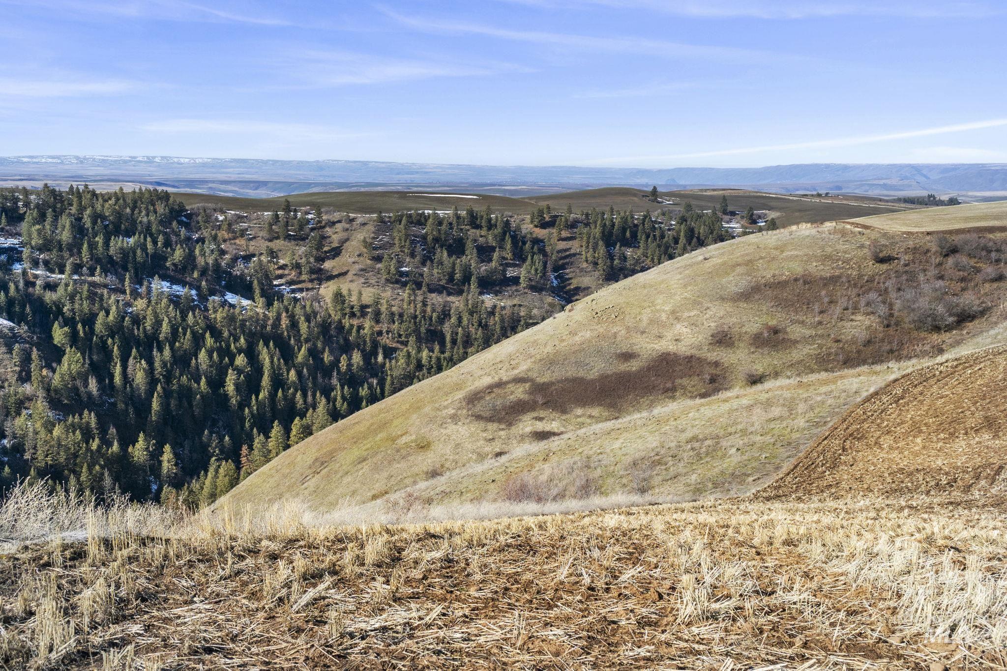 Tbd Old Culdesac Road Culdesac, ID 83524 - Photo 26 of 41