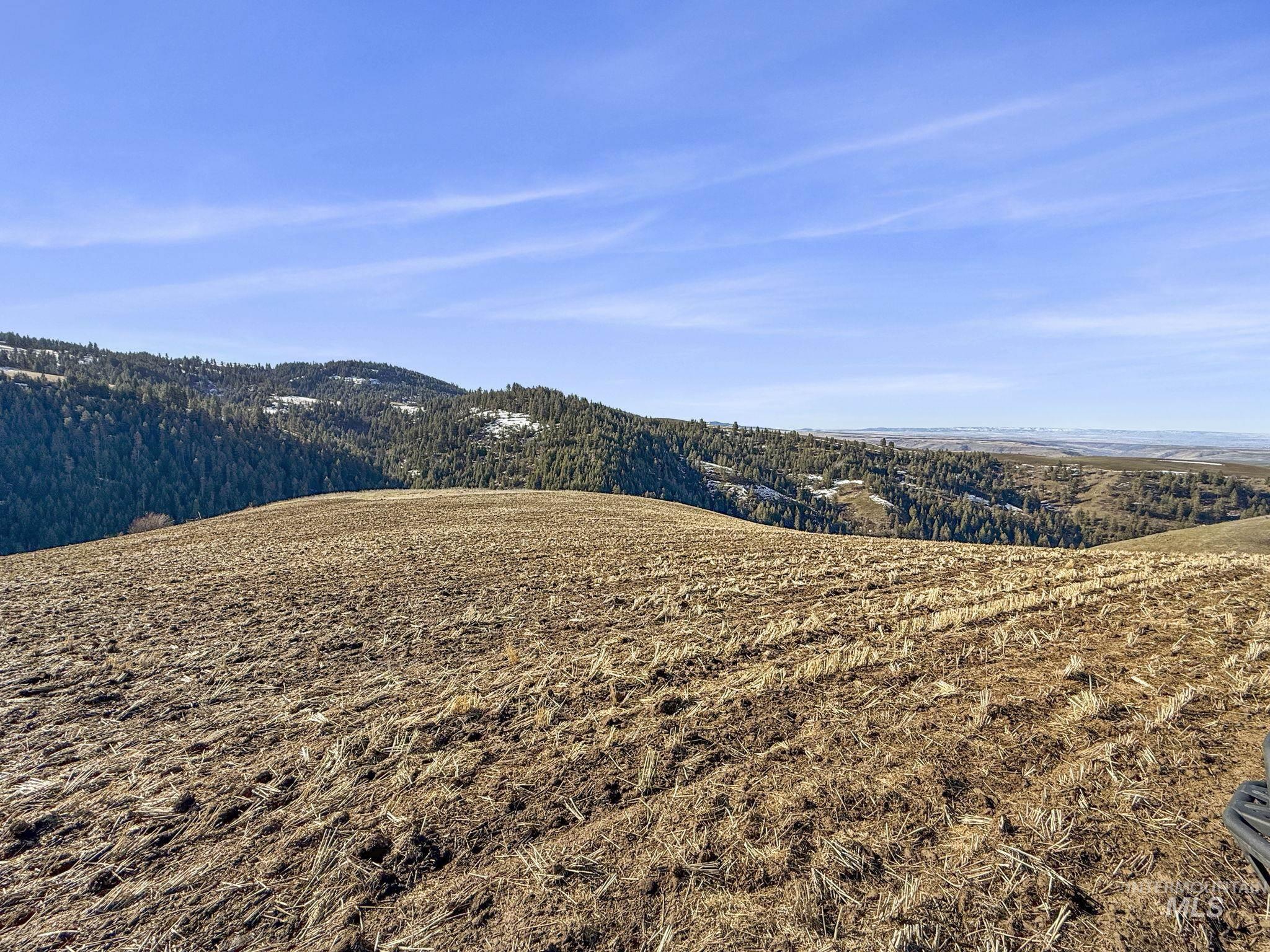 Tbd Old Culdesac Road Culdesac, ID 83524 - Photo 27 of 41