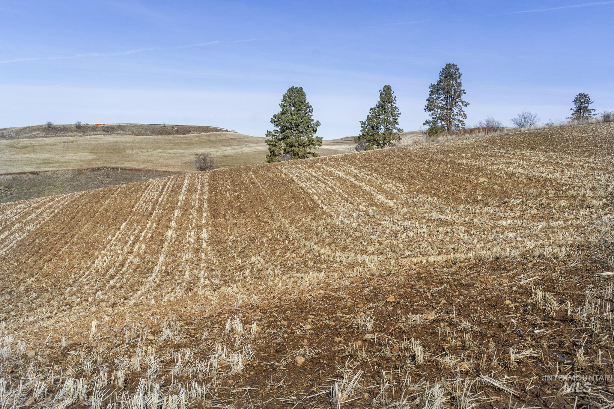 Tbd Old Culdesac Road Culdesac, ID 83524 - Photo 28 of 41