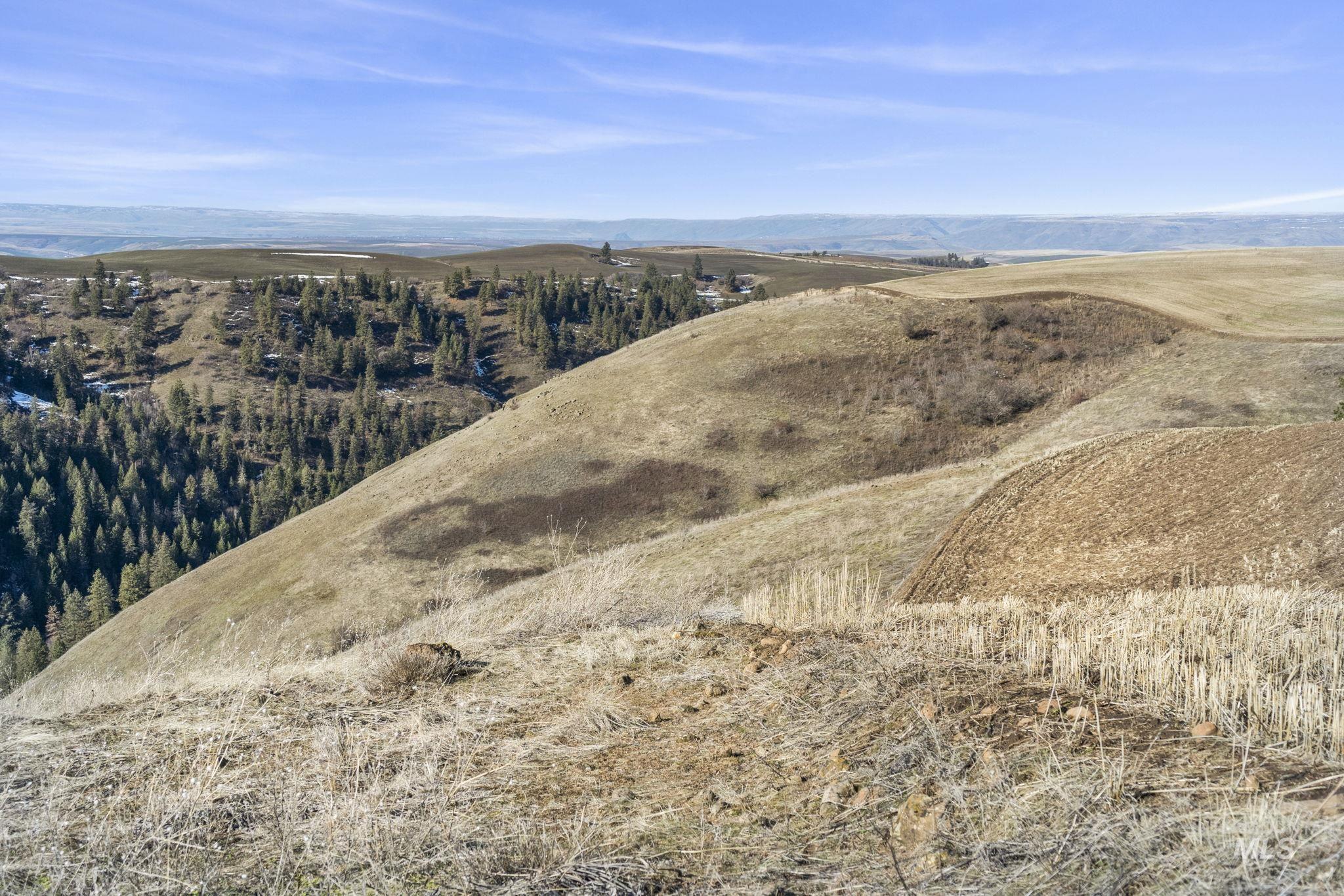Tbd Old Culdesac Road Culdesac, ID 83524 - Photo 29 of 41