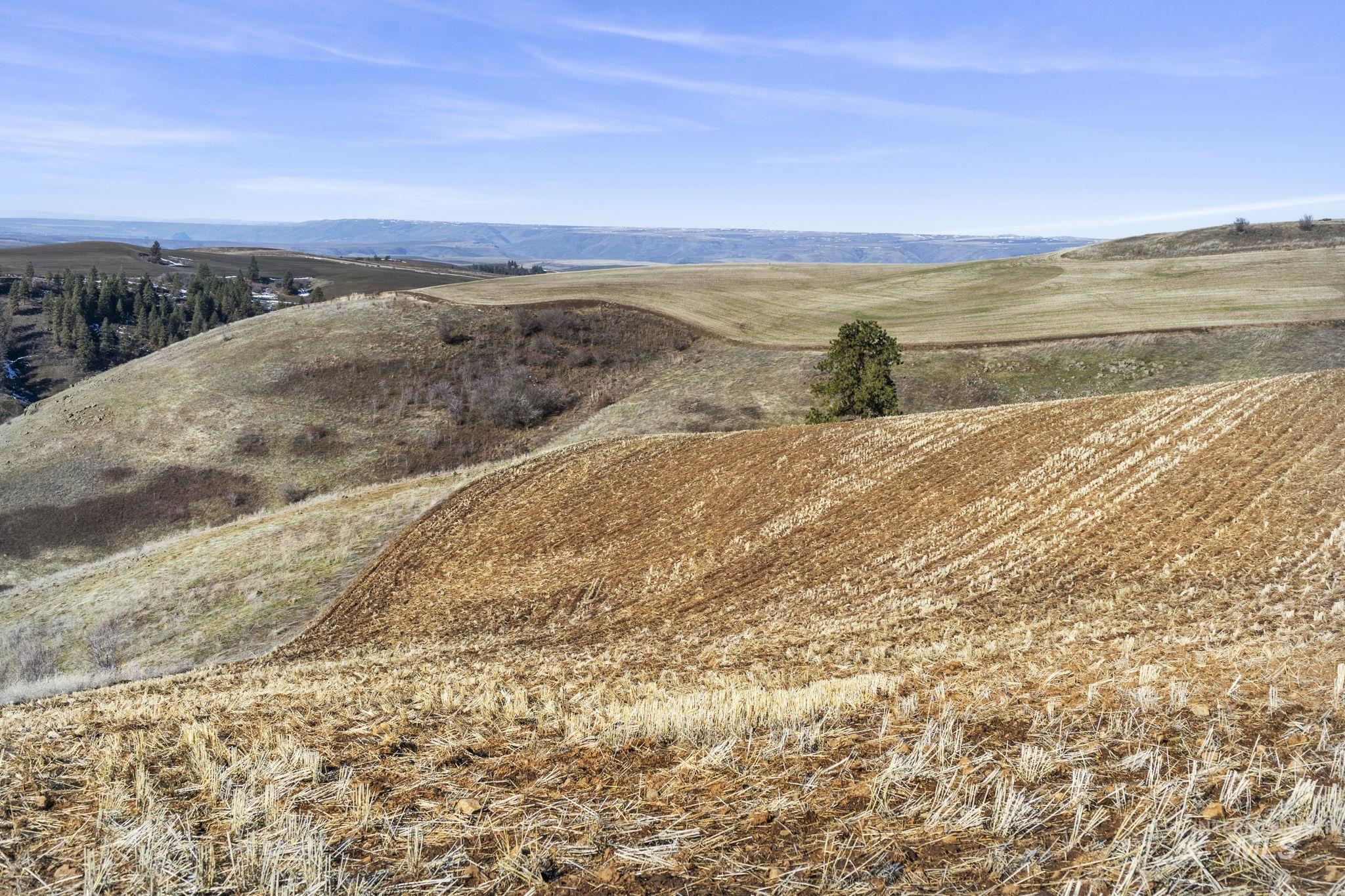 Tbd Old Culdesac Road Culdesac, ID 83524 - Photo 31 of 41