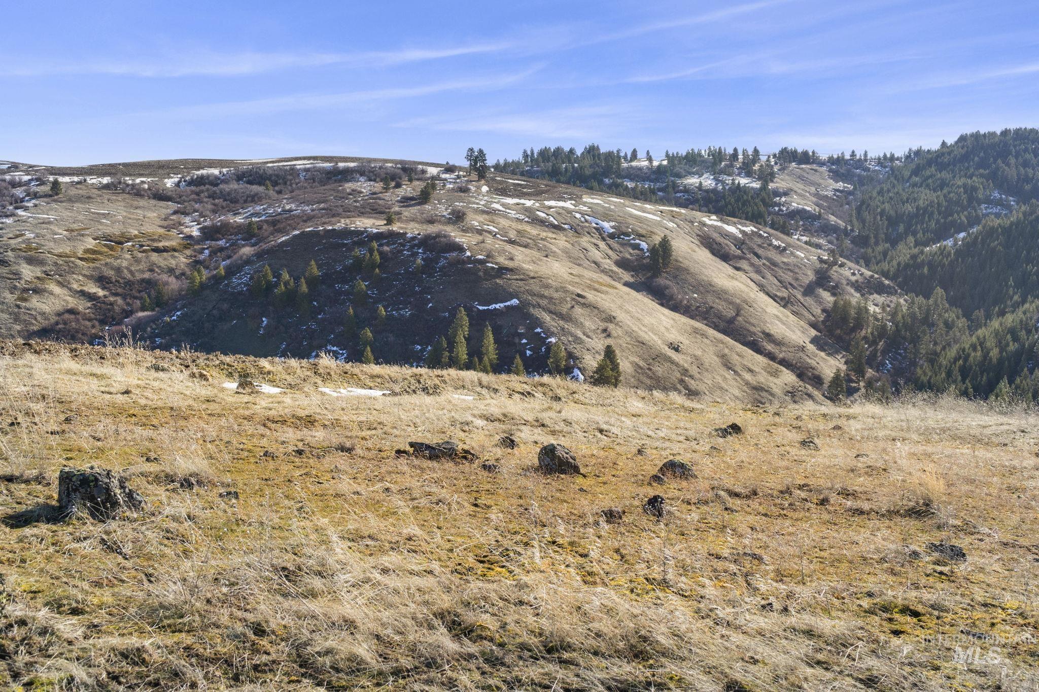 Tbd Old Culdesac Road Culdesac, ID 83524 - Photo 32 of 41