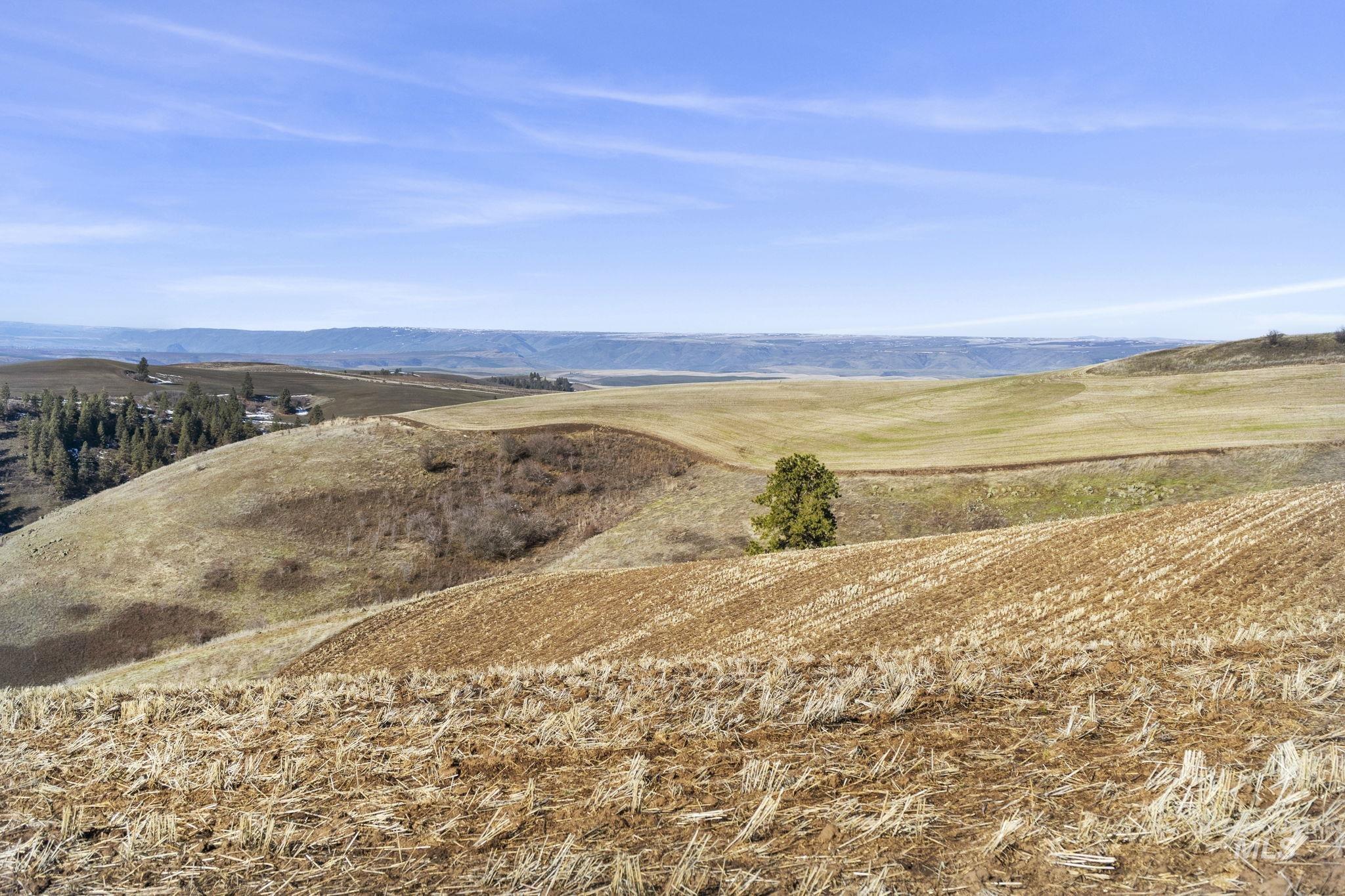 Tbd Old Culdesac Road Culdesac, ID 83524 - Photo 33 of 41