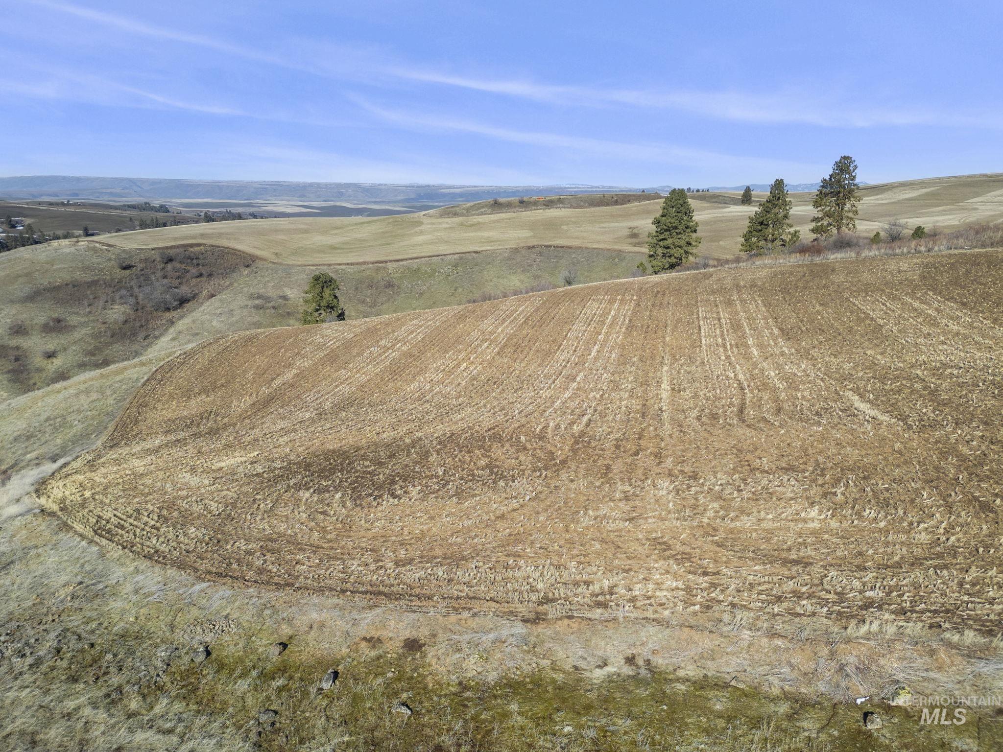 Tbd Old Culdesac Road Culdesac, ID 83524 - Photo 8 of 41