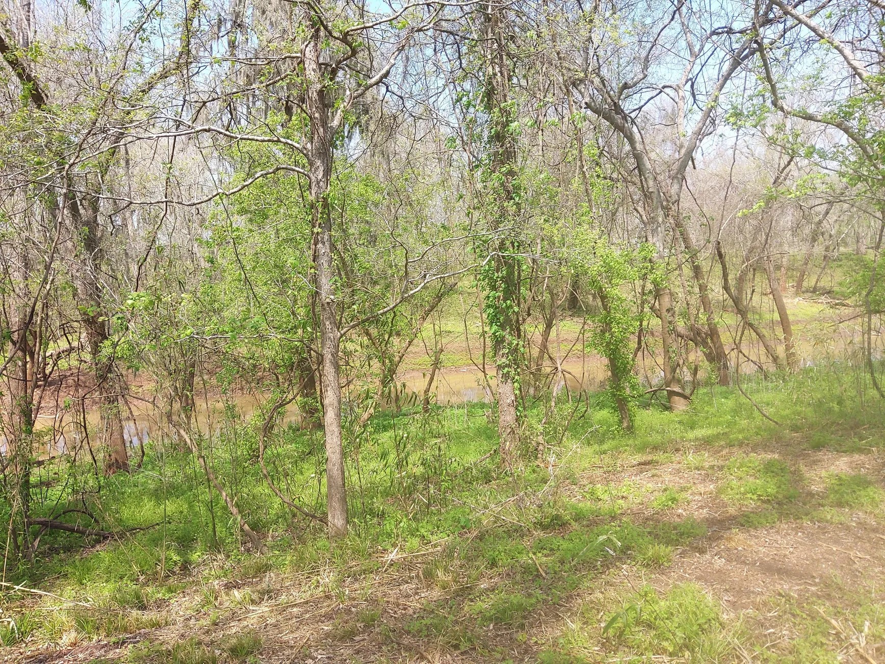 Lot 1 FM 521 Road Angleton, TX 77515 - Photo 17 of 34