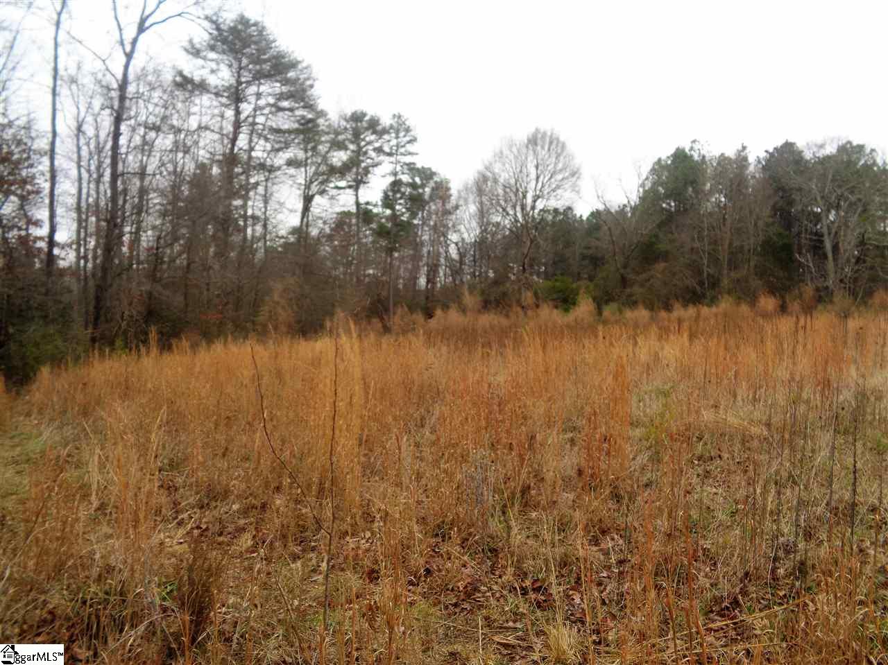 415 Liberty Hill Road Greer, SC 29651 - Photo 13 of 14