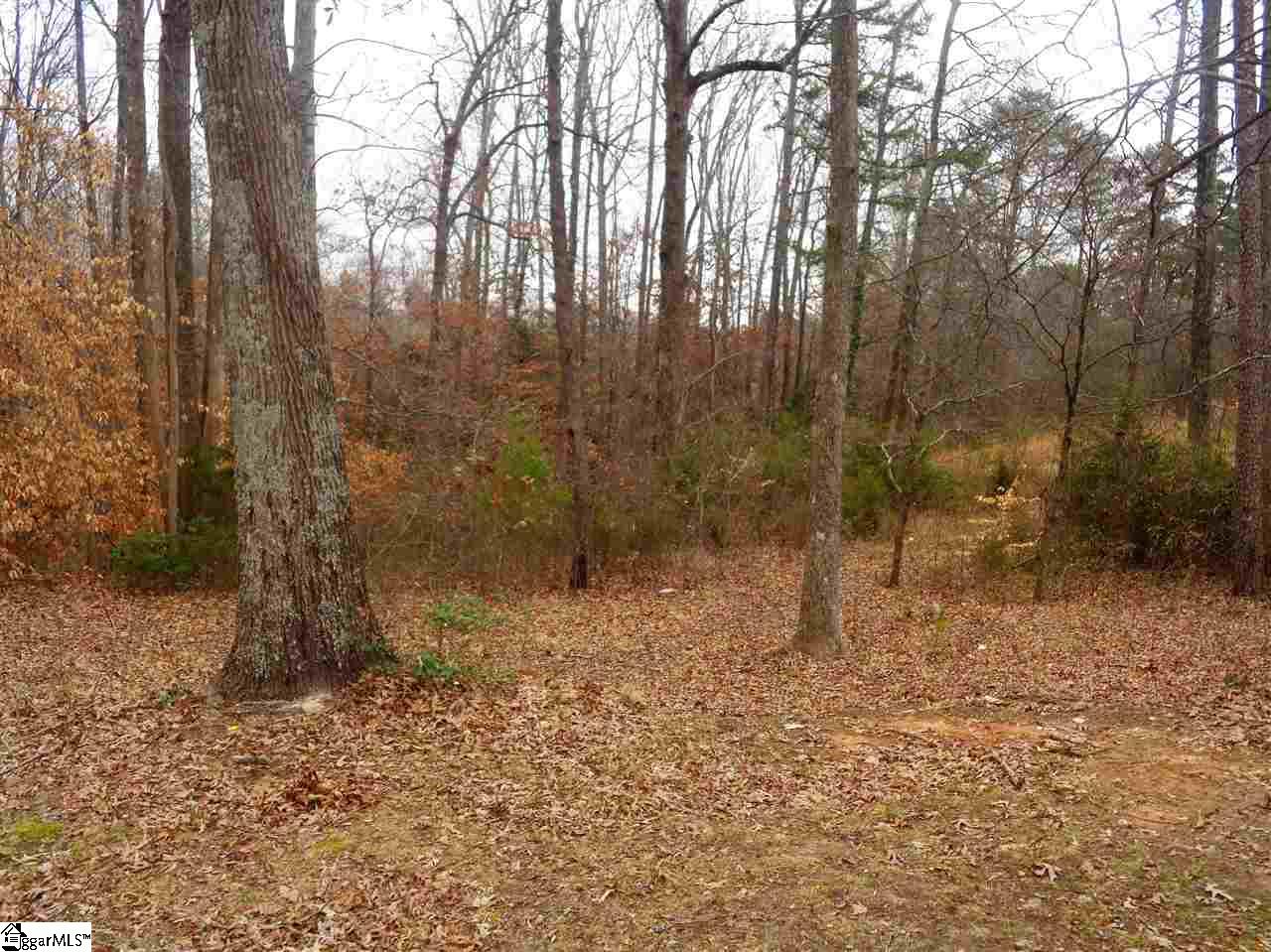 415 Liberty Hill Road Greer, SC 29651 - Photo 10 of 14