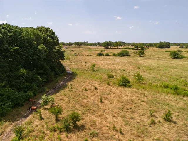 a view of an ocean beach