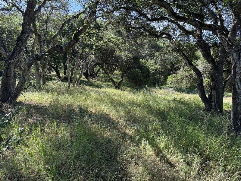 6443 Tustin Road Salinas, CA 93907 - Photo 32 of 34