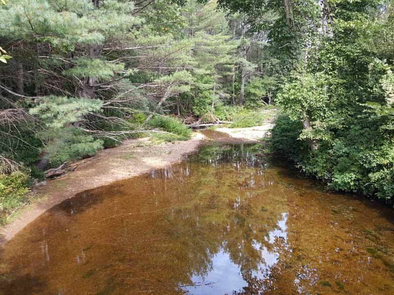 39 Meadowbrook Bridge Road Bethel, ME 04217 - Photo 3 of 26 Photo