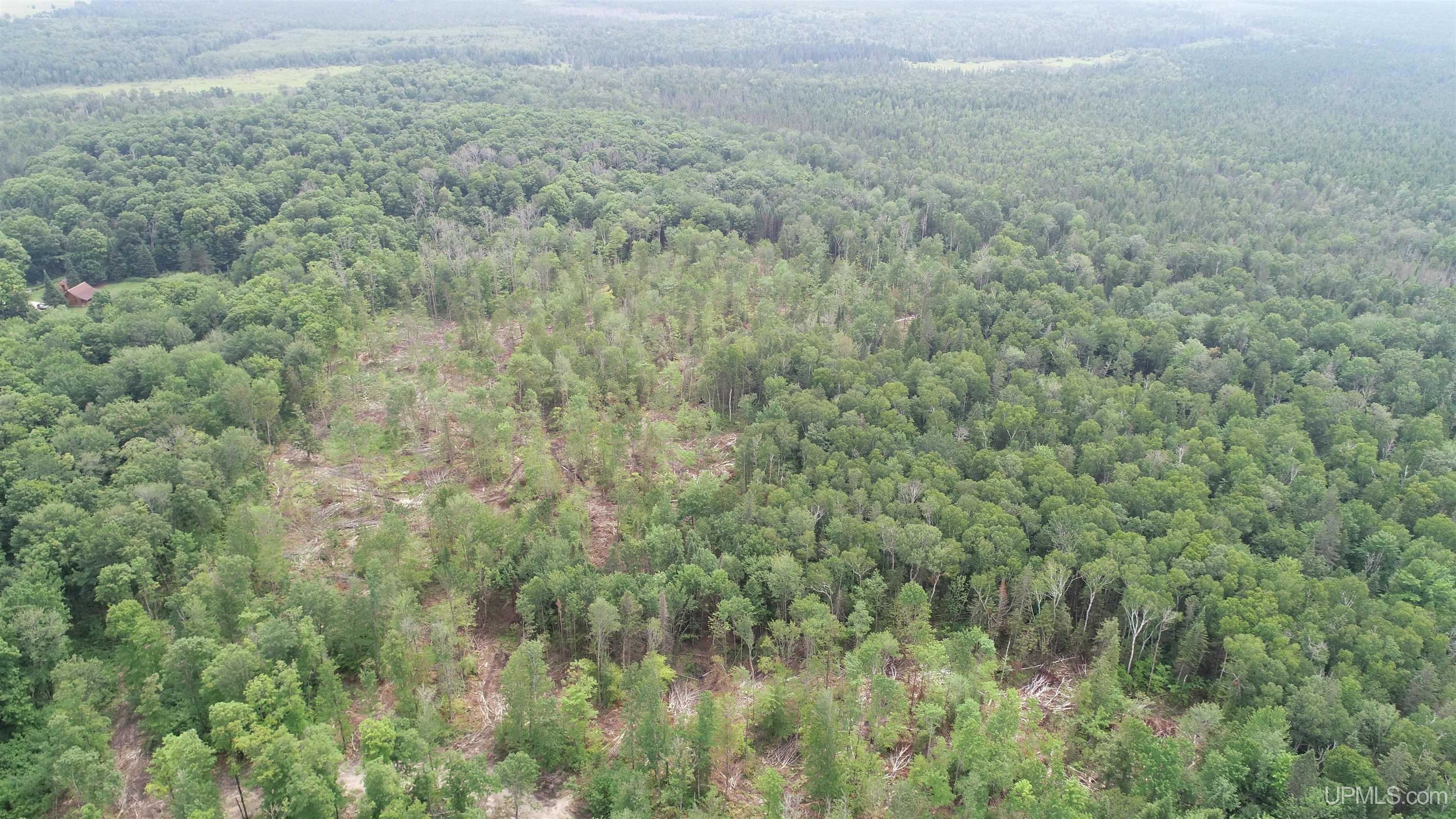 23 Camp 23 Road, Unit NORTH PARCEL Germfask, MI 49836 - Photo 2 of 10