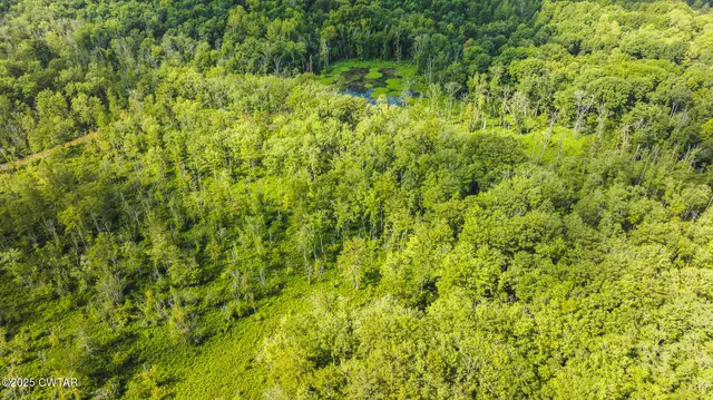 a view of a lush green space