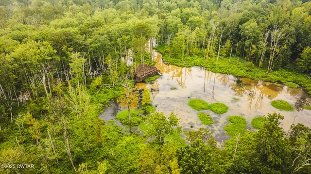 a view of a lake with a yard