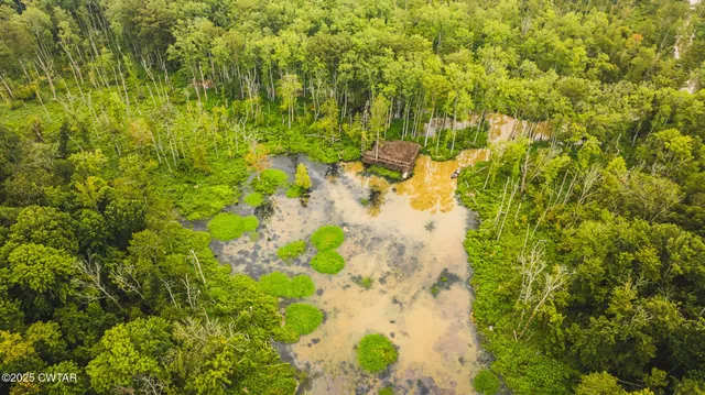 a view of a yard with plants
