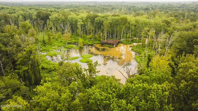 a view of city and green space