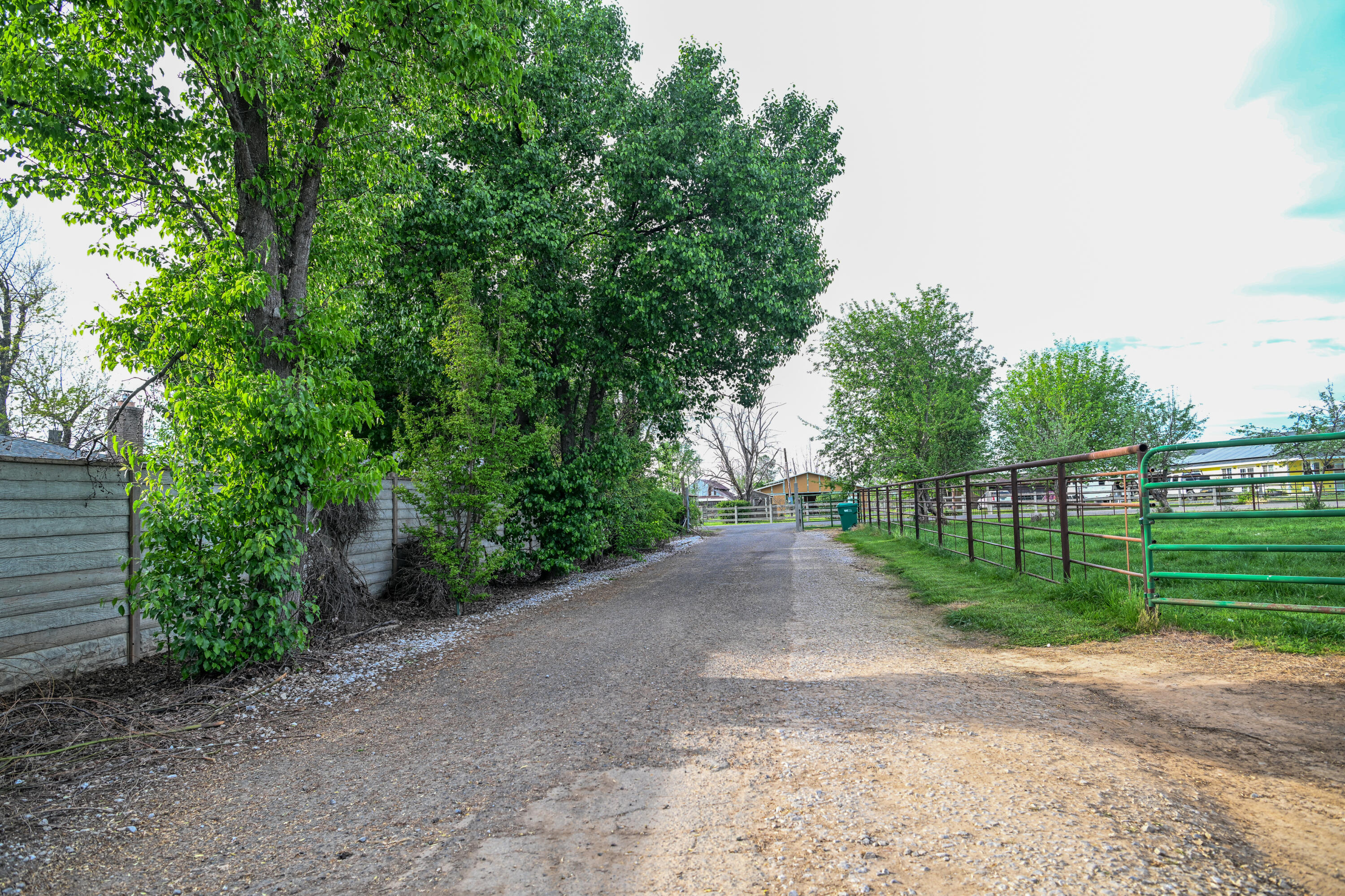 22405 Venzke Road Cottonwood, CA 96022 - Photo 38 of 43 VENZKE RD HOUSE-Driveway
