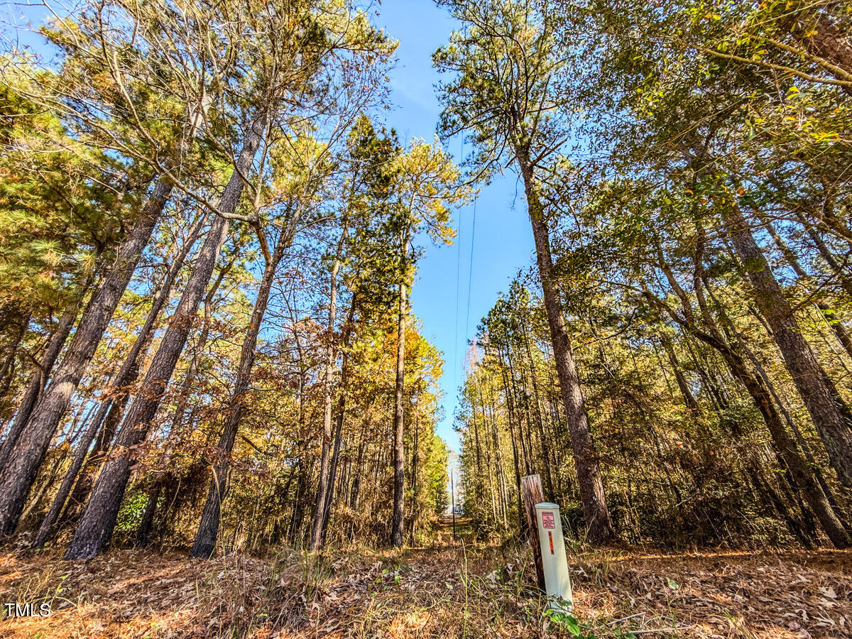 265 Aiken Road Vass, NC 28394 - Photo 28 of 39 7.01 - Beane - Moore Co.27