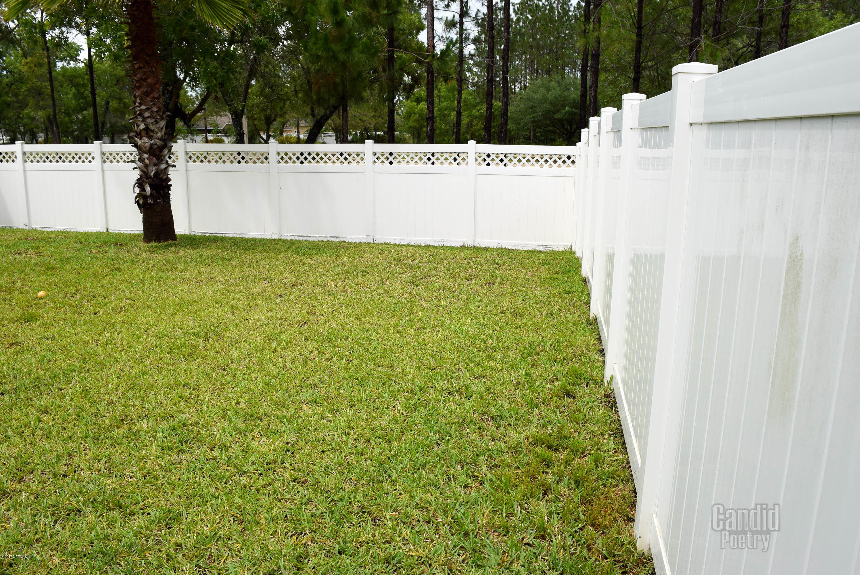 3818 Chasing Falls Road Orange Park, FL 32065 - Photo 58 of 65 DSC_0131