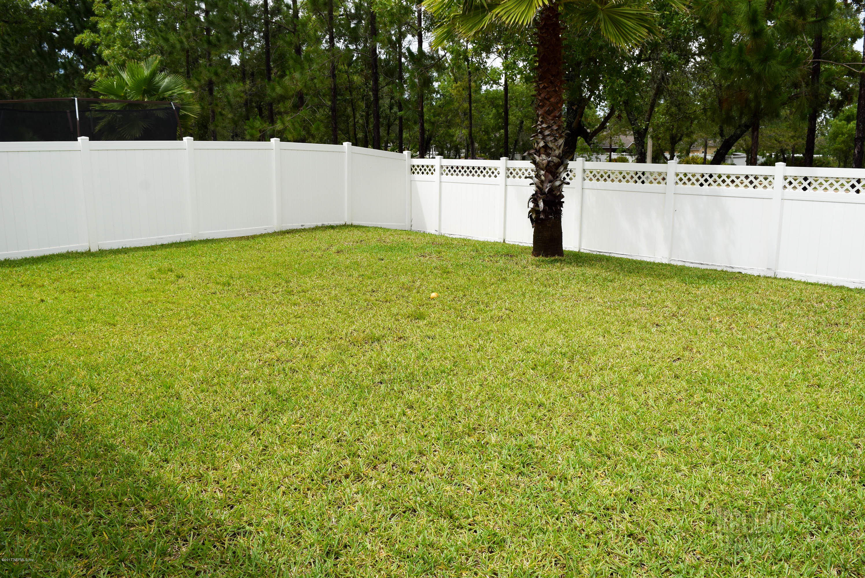 3818 Chasing Falls Road Orange Park, FL 32065 - Photo 59 of 65 DSC_0132